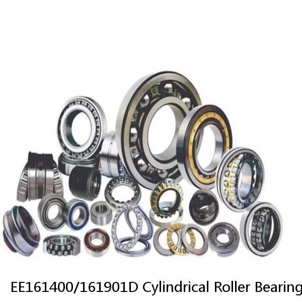 EE161400/161901D Cylindrical Roller Bearings