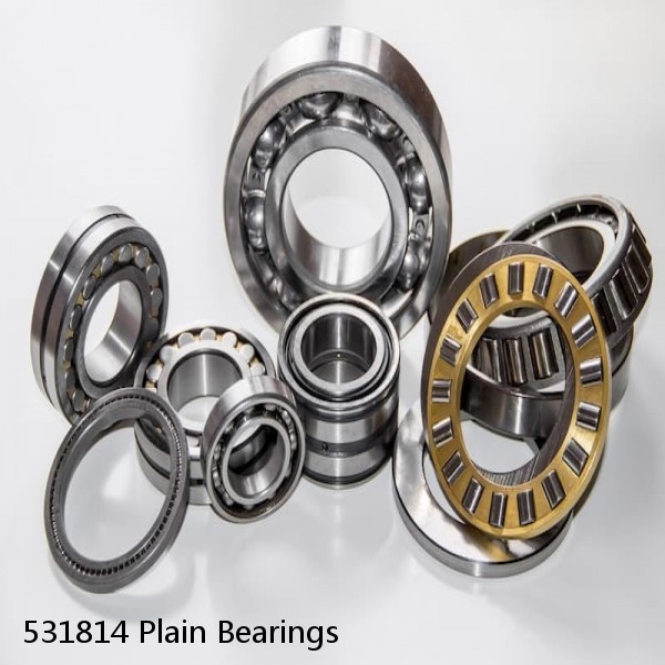 531814 Plain Bearings