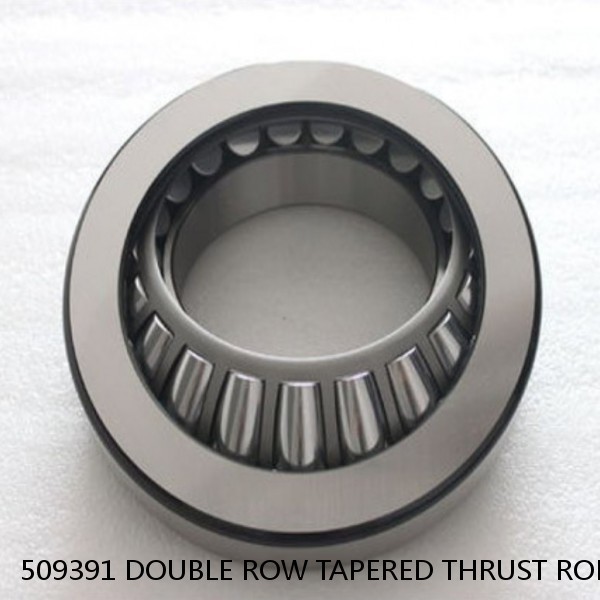 509391 DOUBLE ROW TAPERED THRUST ROLLER BEARINGS