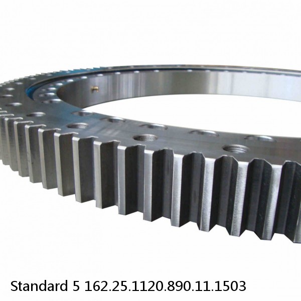 162.25.1120.890.11.1503 Standard 5 Slewing Ring Bearings