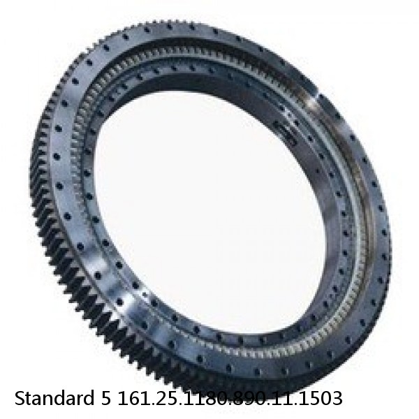 161.25.1180.890.11.1503 Standard 5 Slewing Ring Bearings