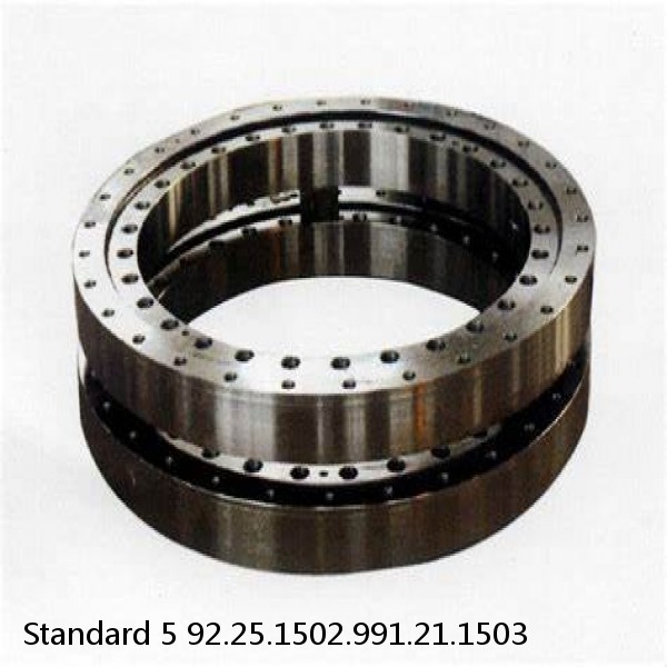 92.25.1502.991.21.1503 Standard 5 Slewing Ring Bearings