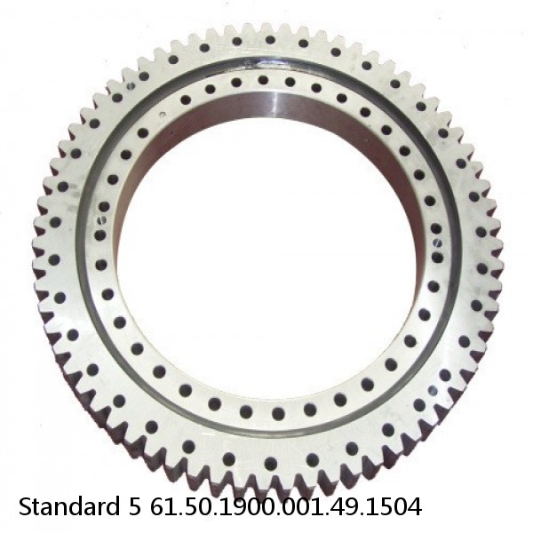 61.50.1900.001.49.1504 Standard 5 Slewing Ring Bearings