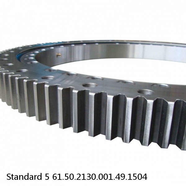 61.50.2130.001.49.1504 Standard 5 Slewing Ring Bearings