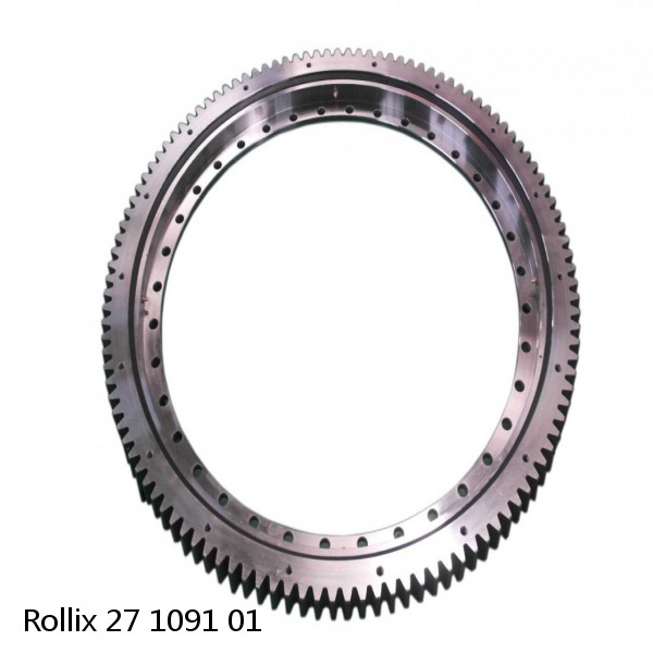 27 1091 01 Rollix Slewing Ring Bearings