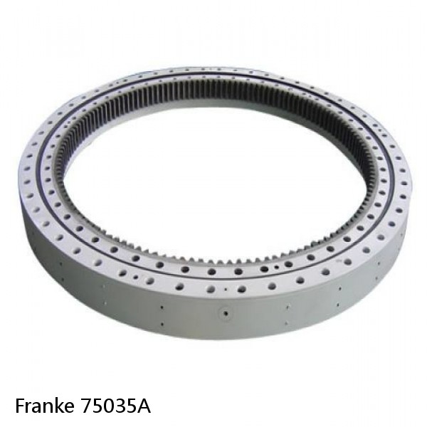 75035A Franke Slewing Ring Bearings