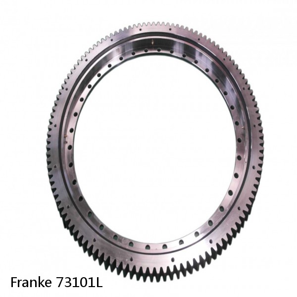 73101L Franke Slewing Ring Bearings