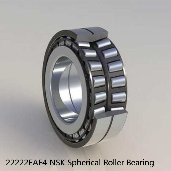 22222EAE4 NSK Spherical Roller Bearing