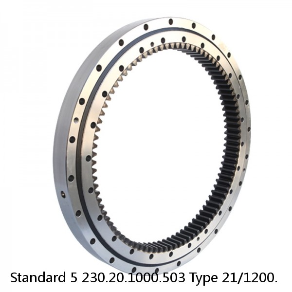 230.20.1000.503 Type 21/1200. Standard 5 Slewing Ring Bearings