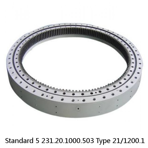 231.20.1000.503 Type 21/1200.1 Standard 5 Slewing Ring Bearings