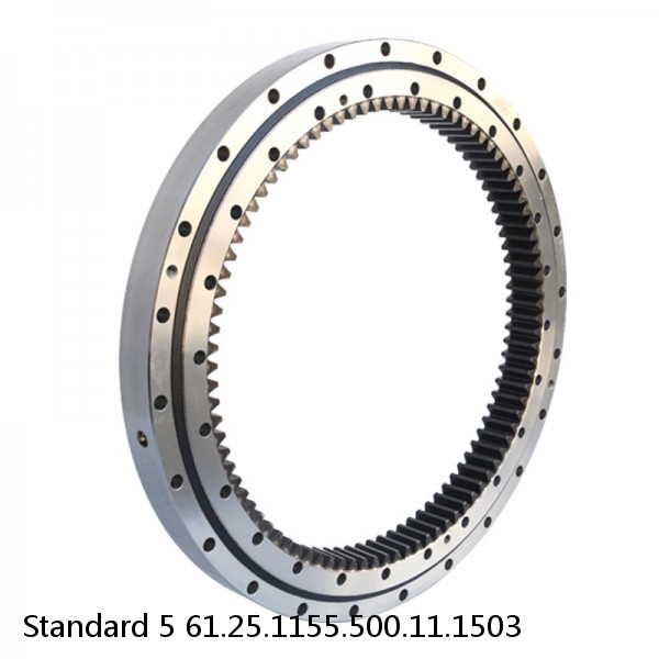 61.25.1155.500.11.1503 Standard 5 Slewing Ring Bearings