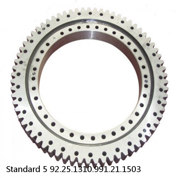 92.25.1310.991.21.1503 Standard 5 Slewing Ring Bearings