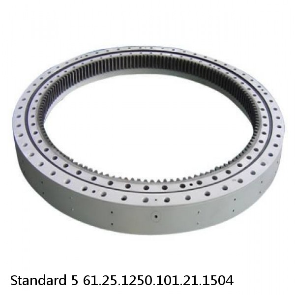 61.25.1250.101.21.1504 Standard 5 Slewing Ring Bearings