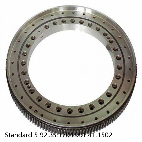 92.35.1704.991.41.1502 Standard 5 Slewing Ring Bearings