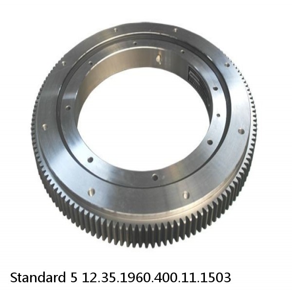 12.35.1960.400.11.1503 Standard 5 Slewing Ring Bearings