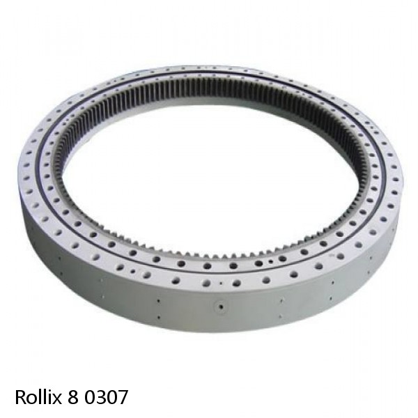 8 0307 Rollix Slewing Ring Bearings