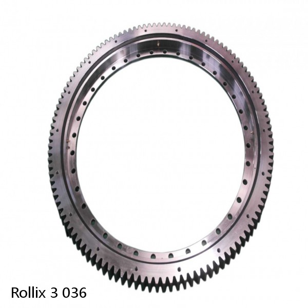 3 036 Rollix Slewing Ring Bearings